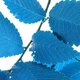 Illustration for article titled The Quest to Re-Invent Photosynthesis Just Got More Colorful